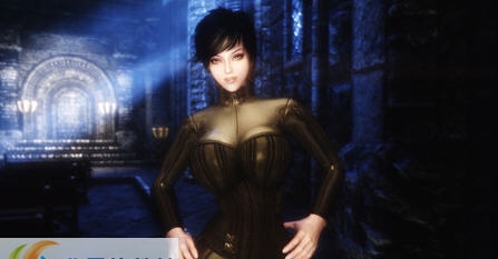 上古卷轴5黑夜传说服装MOD v2.5 上古卷轴5黑夜传说服装MOD v2.5