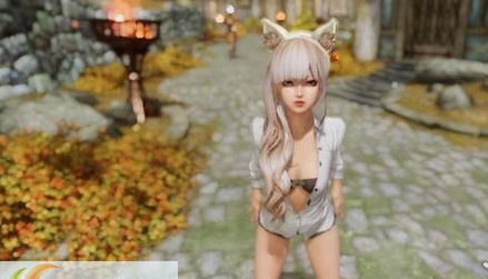 上古卷轴5开衣剑灵衬衫MOD v2.6 上古卷轴5开衣剑灵衬衫MOD v2.6