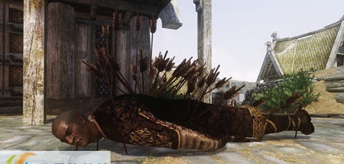 上古卷轴5天际更多的箭MOD v2.6 上古卷轴5天际更多的箭MOD v2.6