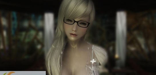 上古卷轴5动作插件FNIS Behavio MOD v2.6 上古卷轴5动作插件FNIS Behavio MOD v2.6