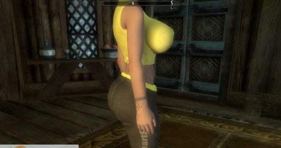 上古卷轴5天际瑜伽教练装MOD v2.5 上古卷轴5天际瑜伽教练装MOD v2.5