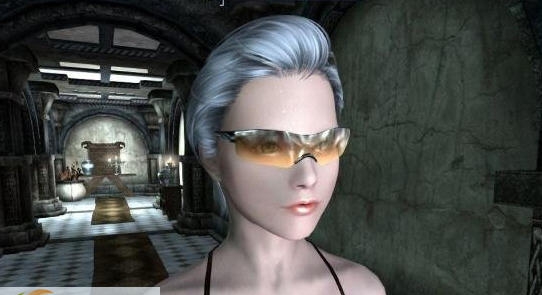 上古卷轴5时尚前沿太阳眼镜MOD v2.5 上古卷轴5时尚前沿太阳眼镜MOD v2.5