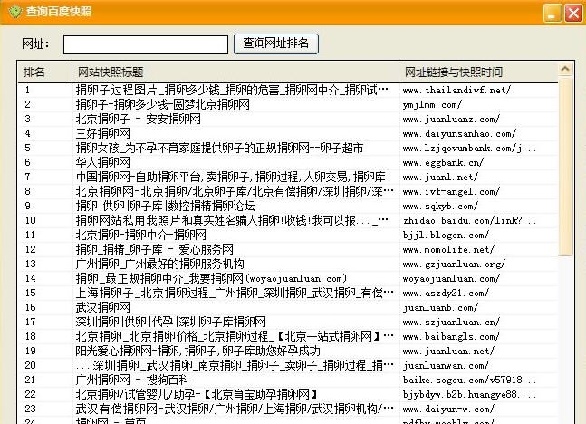网络排名专家 v6.22 网络排名专家 v6.22