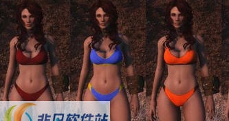 辐射4运动内衣MOD v2.7 辐射4运动内衣MOD v2.7