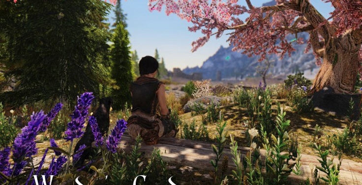 上古卷轴5天际温迪的花园MOD v2.4