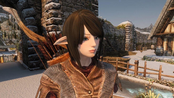 上古卷轴5天际盾战初始美女随从MOD v2.4 上古卷轴5天际盾战初始美女随从MOD v2.4