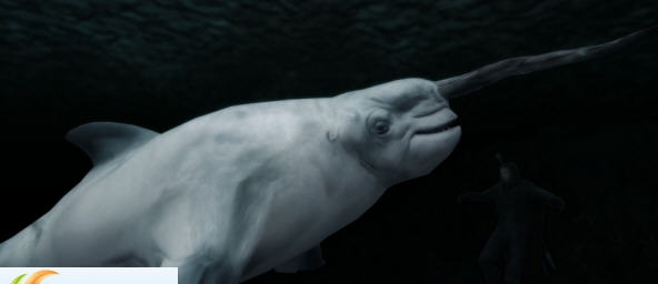 上古卷轴5灵魂之海MOD v2.6