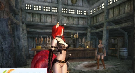 上古卷轴5物理尾巴耳朵MOD v2.5 上古卷轴5物理尾巴耳朵MOD v2.5