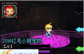 DNF2016猴子宠物改萌萌的迷你saber补丁 v2.6 DNF2016猴子宠物改萌萌的迷你saber补丁 v2.6