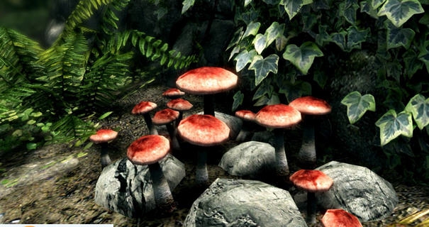 上古卷轴5天际重制版即时挖矿MOD v2.5