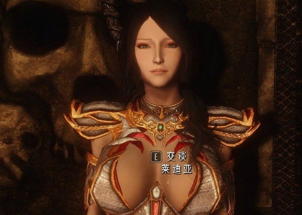 上古卷轴5天际重制版新莱迪亚美化MOD v2.6 上古卷轴5天际重制版新莱迪亚美化MOD v2.6