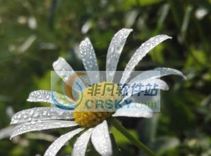 饥荒字符样品MOD v2.5 饥荒字符样品MOD v2.5