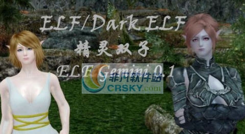 上古卷轴5天际重制版精灵双子随从MOD v2.6