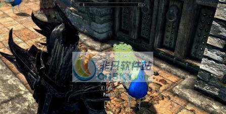 上古卷轴5天际重制版孔雀MOD v2.5 上古卷轴5天际重制版孔雀MOD v2.5