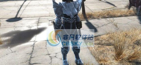 辐射4多彩乌木铠甲MOD v2.5 辐射4多彩乌木铠甲MOD v2.5