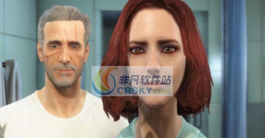 辐射4气质美女MOD v2.5 辐射4气质美女MOD v2.5