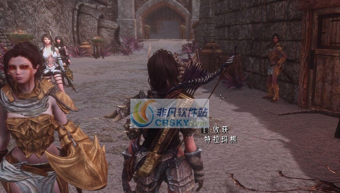 上古卷轴5天际重制版三个女卫兵MOD v2.4 上古卷轴5天际重制版三个女卫兵MOD v2.4