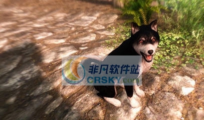 上古卷轴5动物随从MOD v2.4 上古卷轴5动物随从MOD v2.4