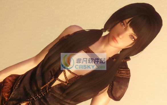 上古卷轴5绁布莱顿巫师随从MOD v2.7 上古卷轴5绁布莱顿巫师随从MOD v2.7