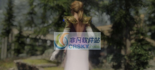 上古卷轴5塞尔达公主裙甲MOD v2.6 上古卷轴5塞尔达公主裙甲MOD v2.6