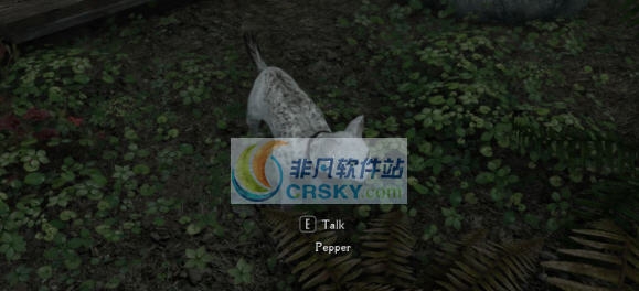 上古卷轴5天际重置版野猫MOD v2.4 上古卷轴5天际重置版野猫MOD v2.4