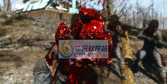 辐射4头部肉渣MOD v2.5