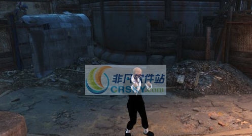 辐射4功夫大师MOD v2.4 辐射4功夫大师MOD v2.4