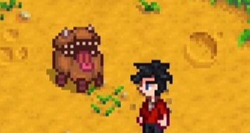星露谷物语宝箱狗MOD v2.5 星露谷物语宝箱狗MOD v2.5