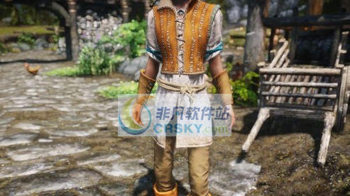上古卷轴5巫师3希里护甲MOD v2.6 上古卷轴5巫师3希里护甲MOD v2.6