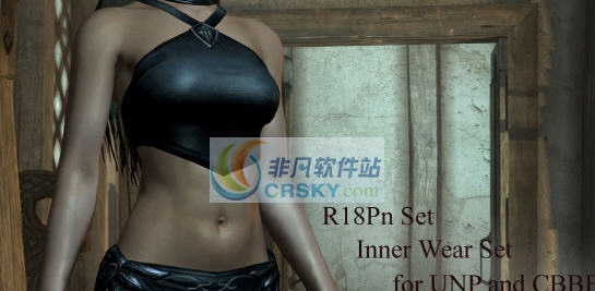 上古卷轴5R18裹胸式内衣MOD包 v2.7 上古卷轴5R18裹胸式内衣MOD包 v2.7