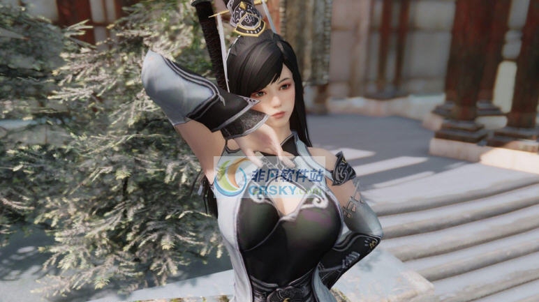 上古卷轴5天际古风随从真武衣服MOD v2.5 上古卷轴5天际古风随从真武衣服MOD v2.5