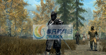 上古卷轴5天际重制版四处旅行的NPCMOD v2.5 上古卷轴5天际重制版四处旅行的NPCMOD v2.5