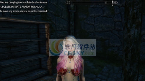 上古卷轴5天际重制版吸血鬼钢链比基尼胸甲MOD v2.6 上古卷轴5天际重制版吸血鬼钢链比基尼胸甲MOD v2.6