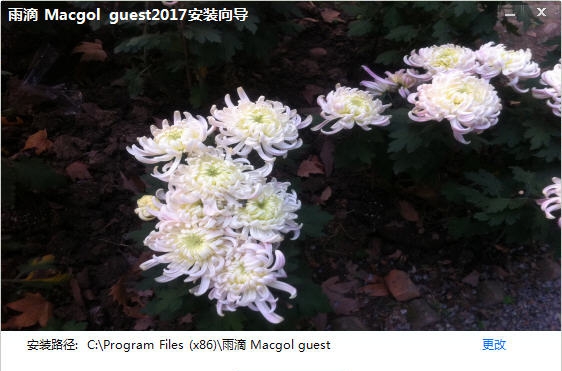 雨滴微型数据库 v2018.7 雨滴微型数据库 v2018.7