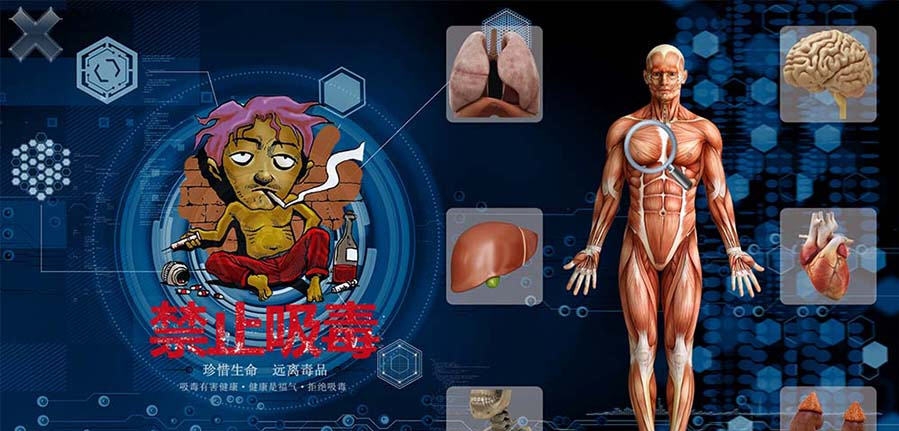 吸毒对人体的危害展示系统 v2.11 吸毒对人体的危害展示系统 v2.11
