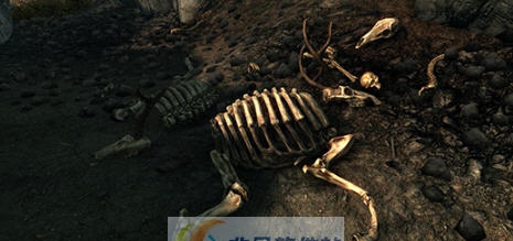 上古卷轴5更真实多样化的动物骨头MOD v2.4