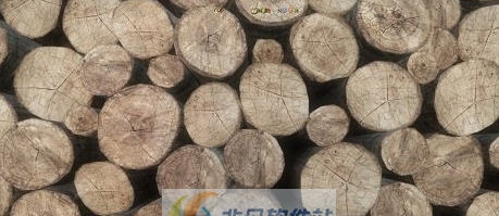 天国拯救高清原木木制品MOD v2.4 天国拯救高清原木木制品MOD v2.4