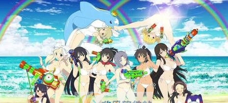 闪乱神乐沙滩戏水减少体积去动画补丁 v2.5 闪乱神乐沙滩戏水减少体积去动画补丁 v2.5