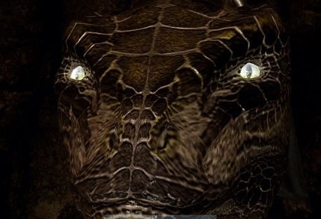 上古卷轴5天际终极眼网包MOD v2.3 上古卷轴5天际终极眼网包MOD v2.3