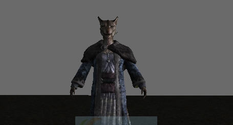 上古卷轴5天际虎人的配偶阿扎瓦里MOD v2.6 上古卷轴5天际虎人的配偶阿扎瓦里MOD v2.6