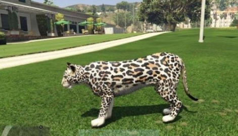 GTA5花豹MOD v2.5 GTA5花豹MOD v2.5
