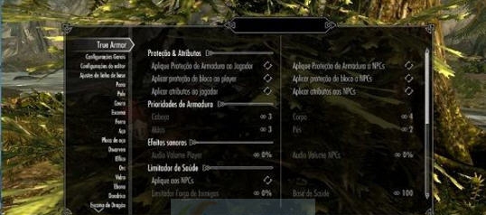 上古卷轴5天际PT-BR真正的护甲MOD v2.3 上古卷轴5天际PT-BR真正的护甲MOD v2.3