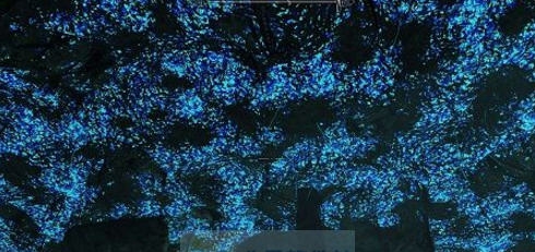 上古卷轴5天际可选的影响发光MOD v2.6 上古卷轴5天际可选的影响发光MOD v2.6