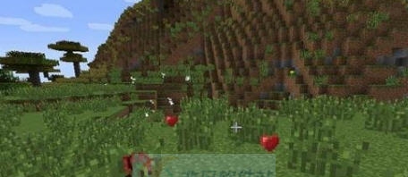 我的世界1.7.2生命掉落MOD v2.5 我的世界1.7.2生命掉落MOD v2.5