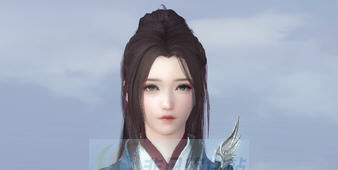 逆水寒高冷女神相捏脸数据 v2.6 逆水寒高冷女神相捏脸数据 v2.6