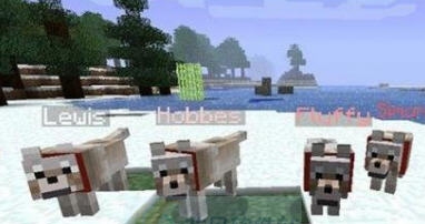 我的世界1.8.0先进的狼MOD v2.6 我的世界1.8.0先进的狼MOD v2.6