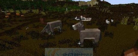 我的世界1.8.0镜头调节MOD v2.5 我的世界1.8.0镜头调节MOD v2.5