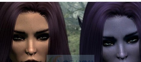 上古卷轴5天际希尔德精灵和人类种族MOD v2.4 上古卷轴5天际希尔德精灵和人类种族MOD v2.4