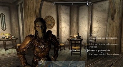 上古卷轴5天际查询追随者统计对话伴MOD v2.3 上古卷轴5天际查询追随者统计对话伴MOD v2.3