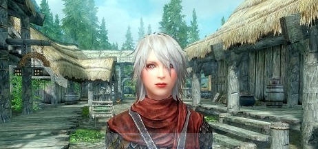 上古卷轴5天际安妮独立双武器追随者MOD v2.4 上古卷轴5天际安妮独立双武器追随者MOD v2.4